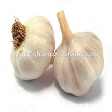 Normal white garlic of high quality with low price